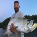 Puerto Rico tarpon fishing