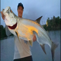Puerto Rico tarpon fishing
