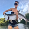 Puerto Rico tarpon fishing