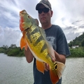 Puerto Rico tarpon fishing