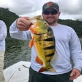 Puerto Rico tarpon fishing
