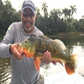 Puerto Rico tarpon fishing